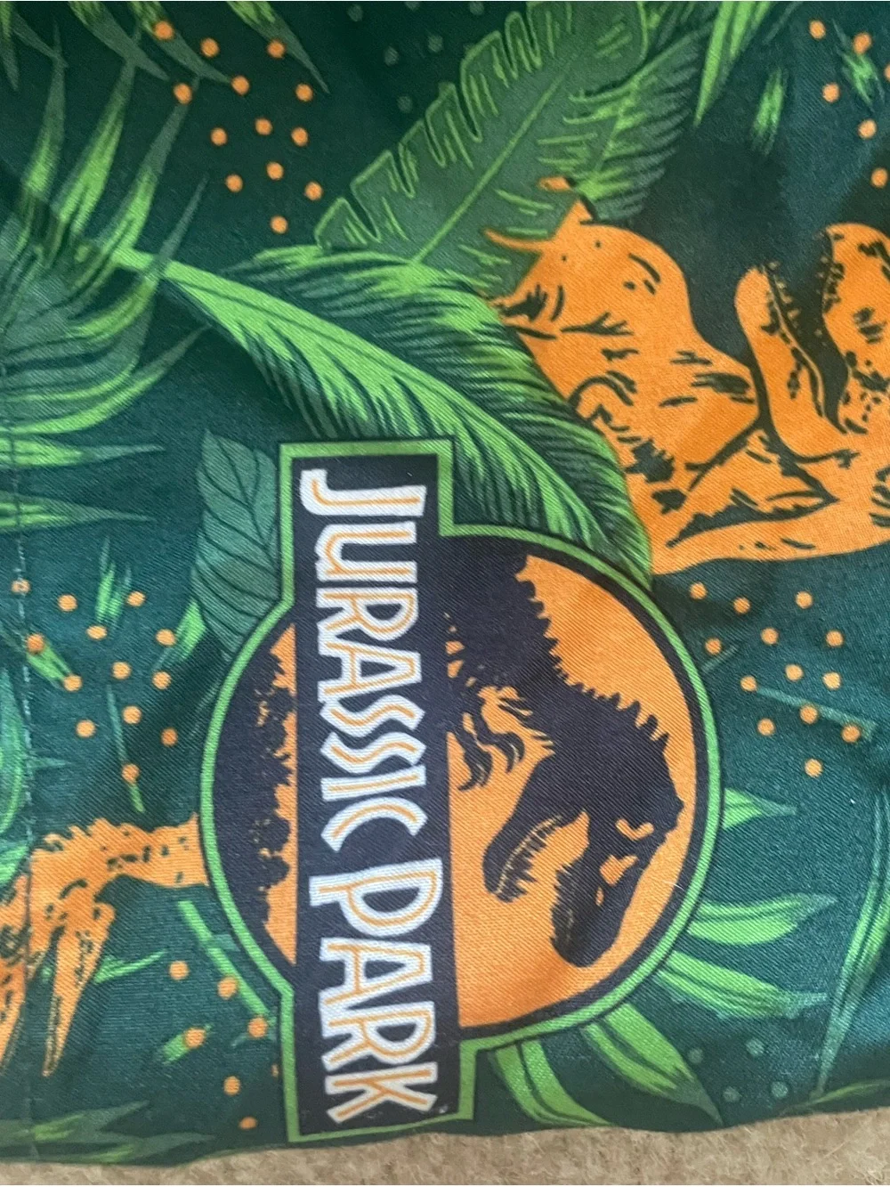 Jurassic Park 2 piece lined swim set. Boy size 3T